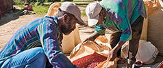 A man teaches a young boy on water conservation techniques in a large dry field.